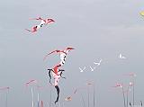 Cervia 2011-091